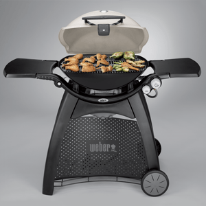 Weber® Family Q™ Premium Titanium (Q3200) LPG