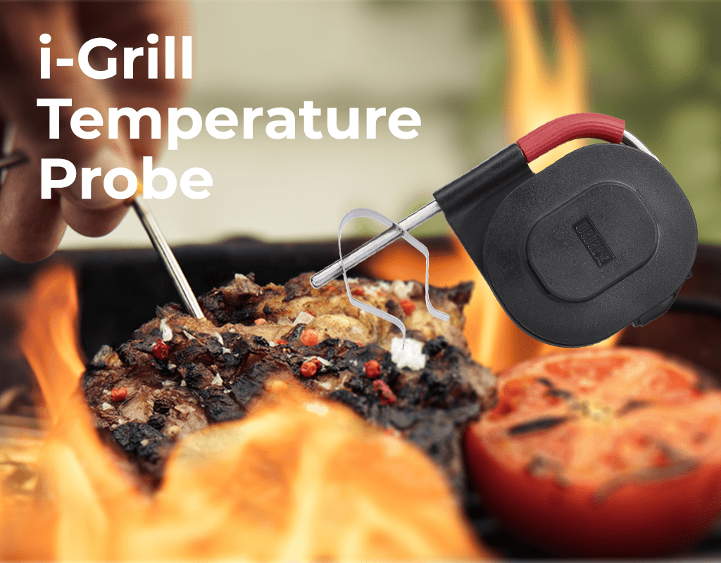 Digital Meat Thermometer – Do I Need One?